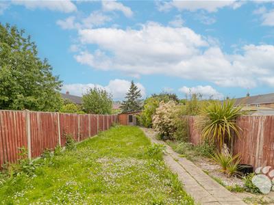 Picture 14